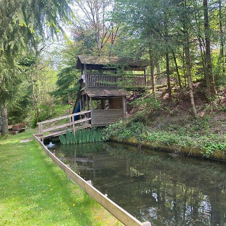 Hotel-Restaurant Theis-Muehle Biersdorf am See Luaran gambar