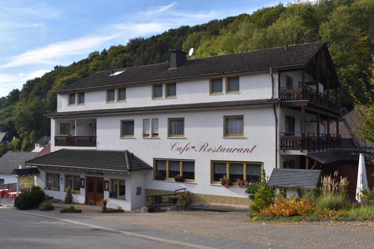 Hotel-Restaurant Theis-Muehle Biersdorf am See Luaran gambar