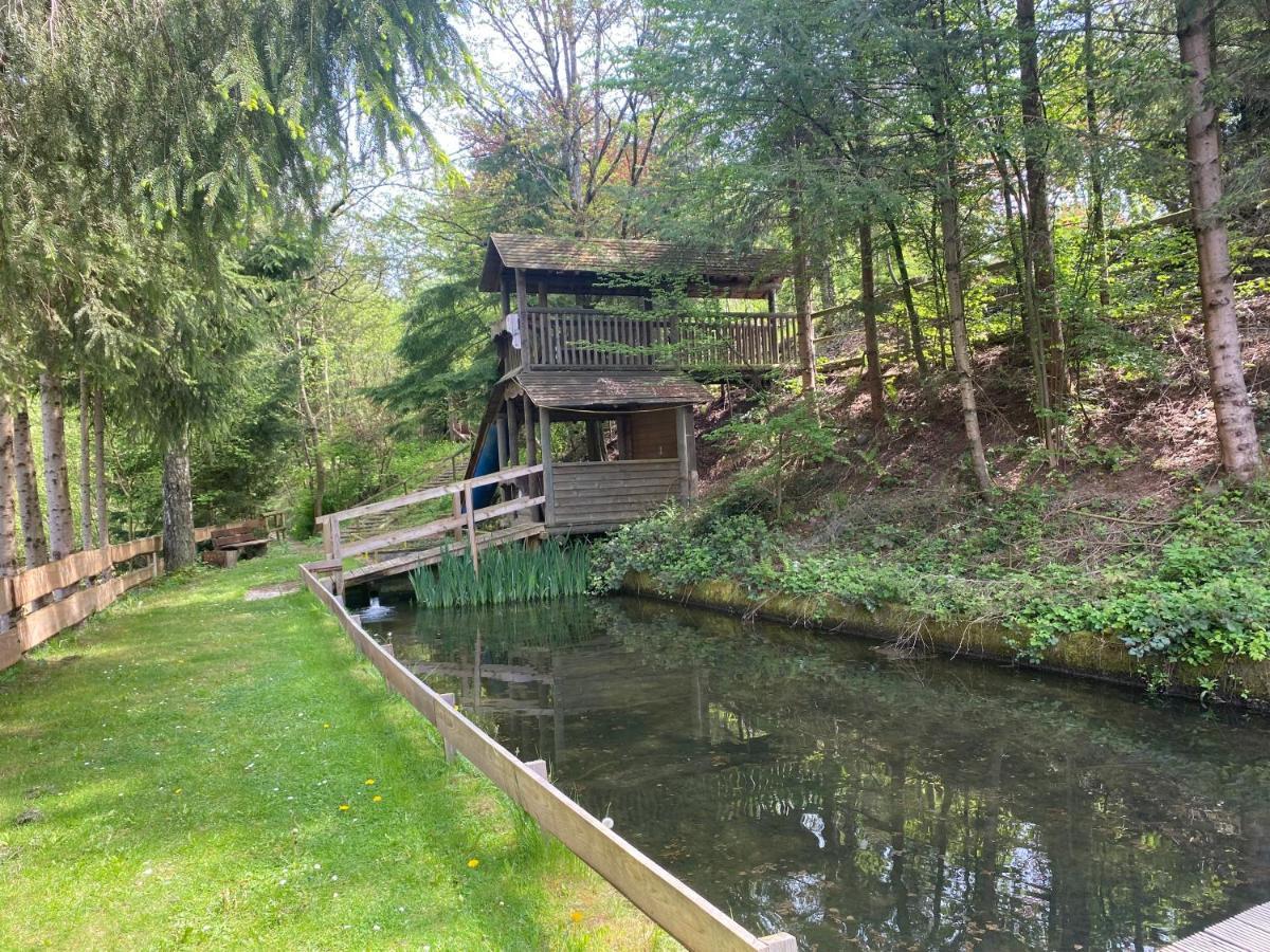 Hotel-Restaurant Theis-Muehle Biersdorf am See Luaran gambar